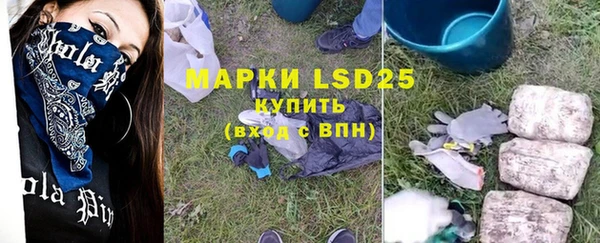 хмурый Лагань