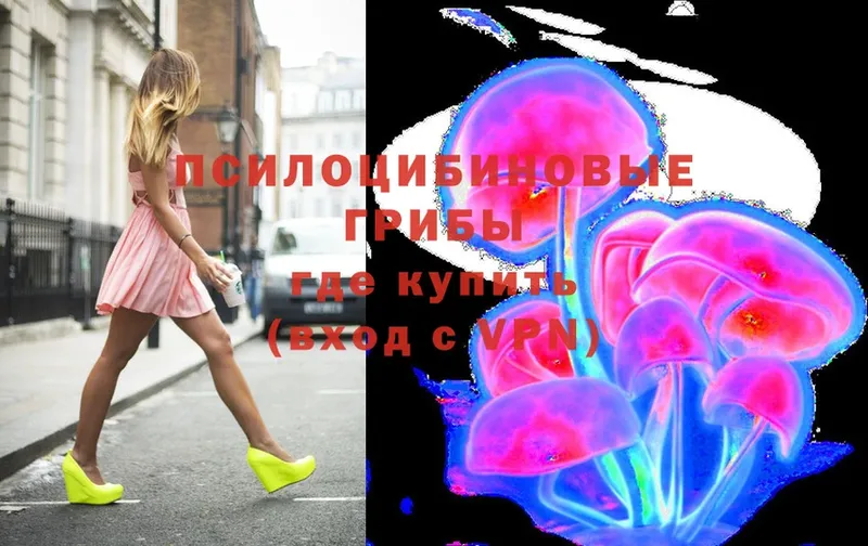 Галлюциногенные грибы Psilocybe  hydra маркетплейс  Каргат 