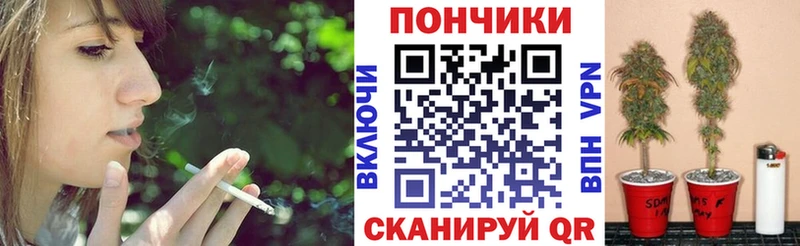 цены наркотик  Каргат  Каннабис индика 