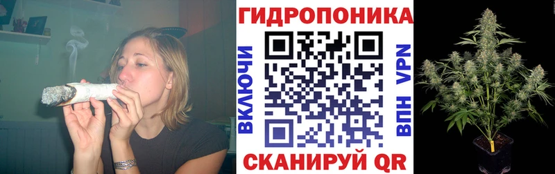 Канабис план Каргат
